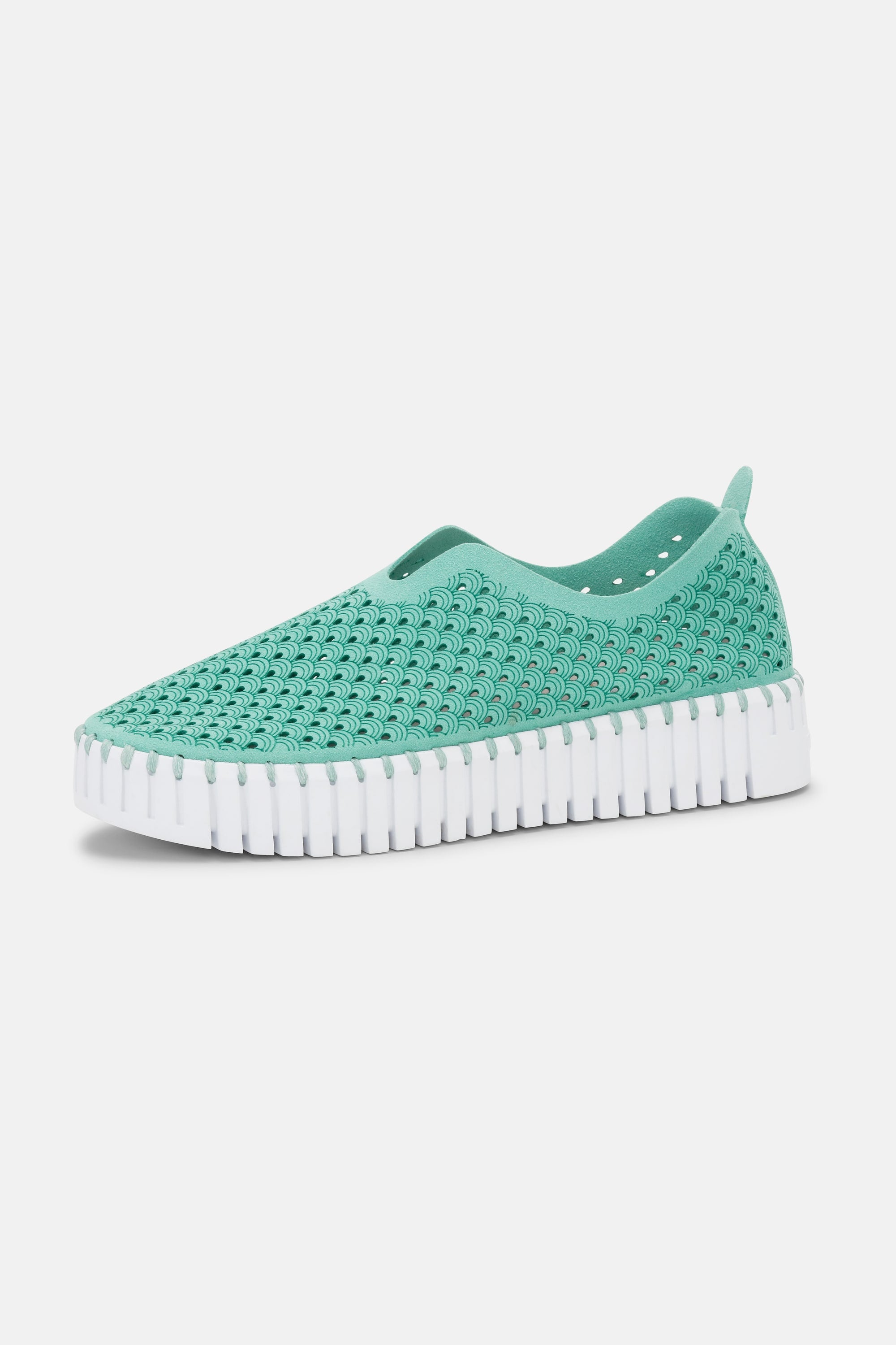 Tulip Chaussures Plateforme - Algae